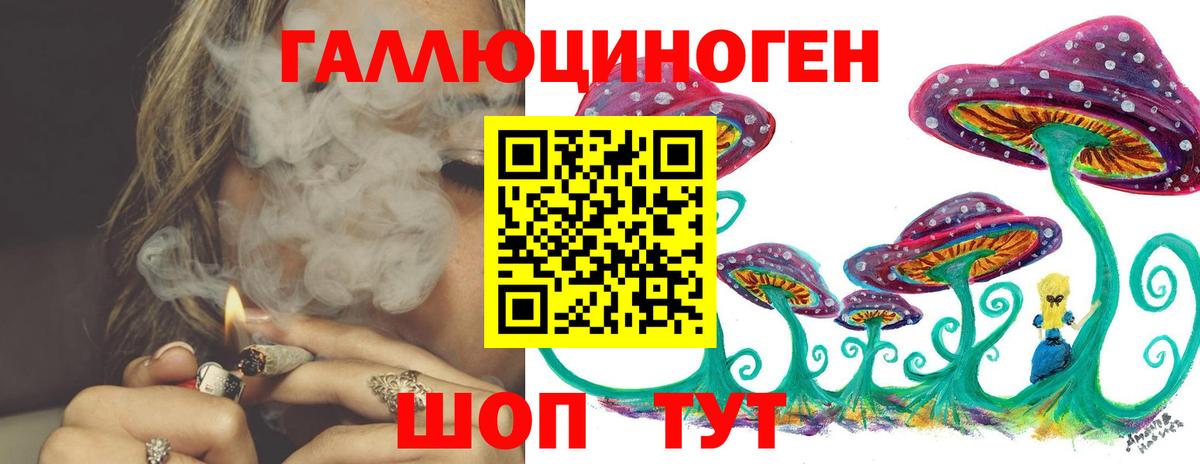 Тула  Псилоцибиновые грибы Psilocybe  Вход с VPN 