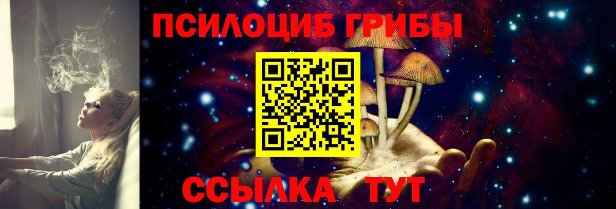 Псилоцибиновые грибы Magic Shrooms Тула